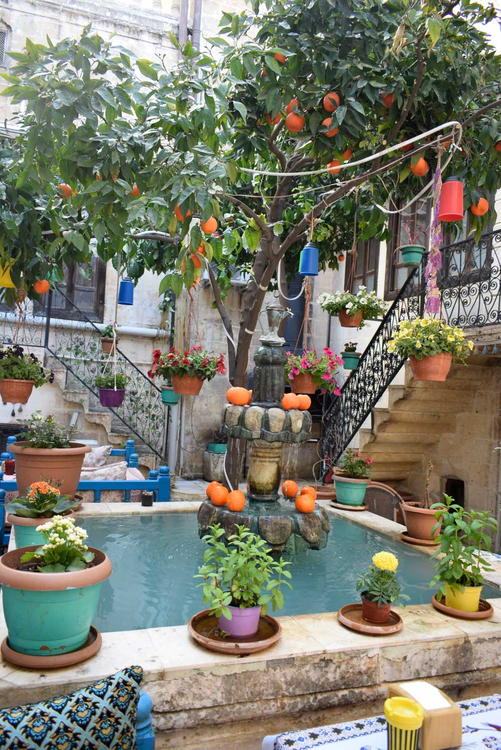 Bizden Görüntüler